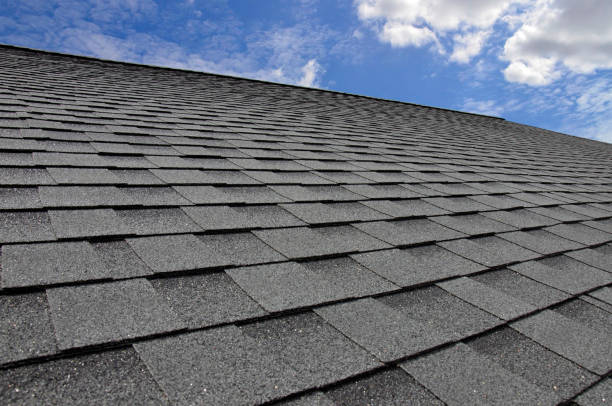 Best Roof Insulation Installation  in Rochester Hills, MI